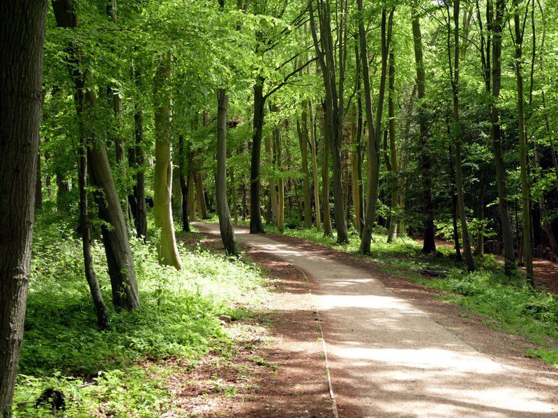 Hughenden NT Hughenden NT