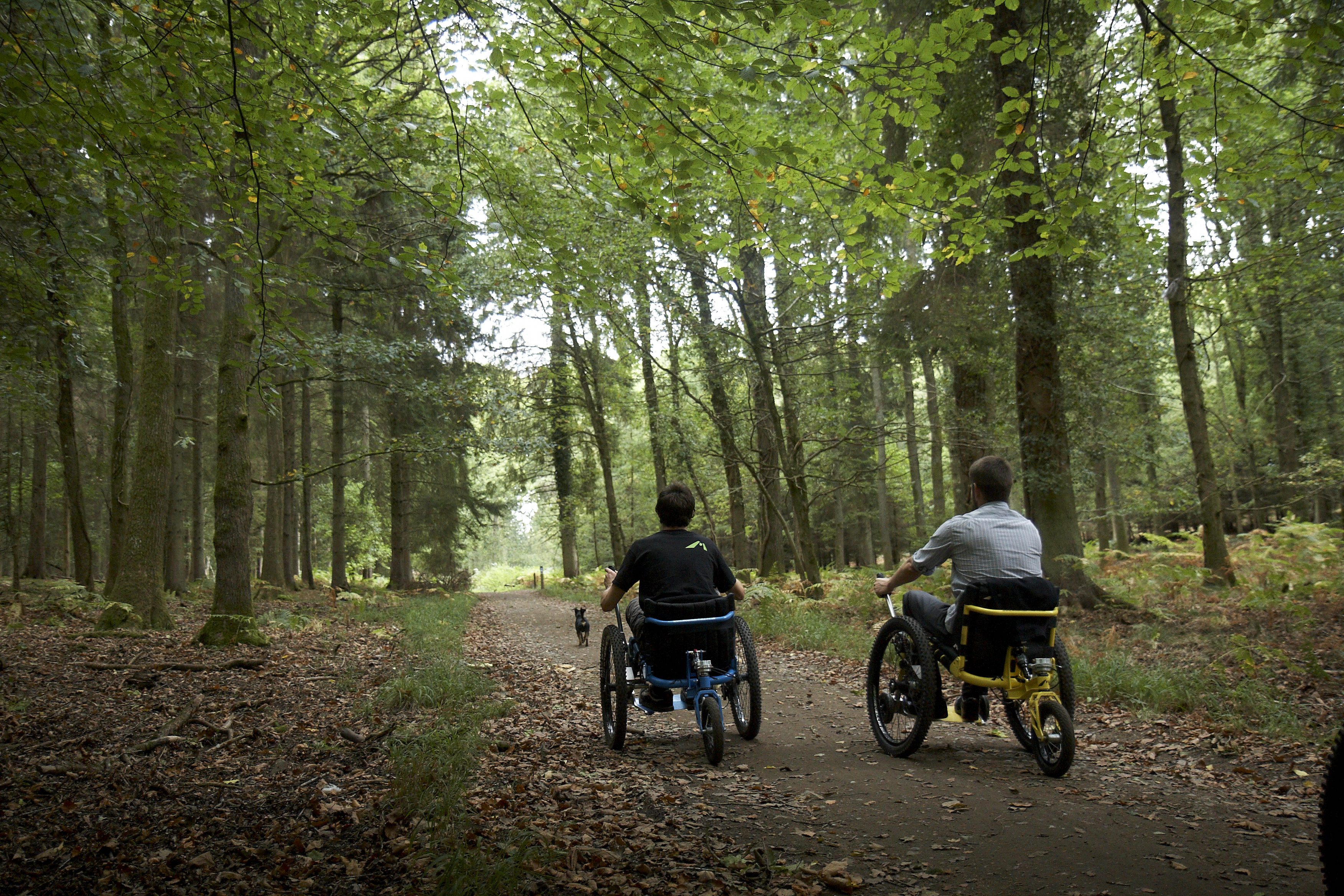 Mountain Trike wheelchair woodlands