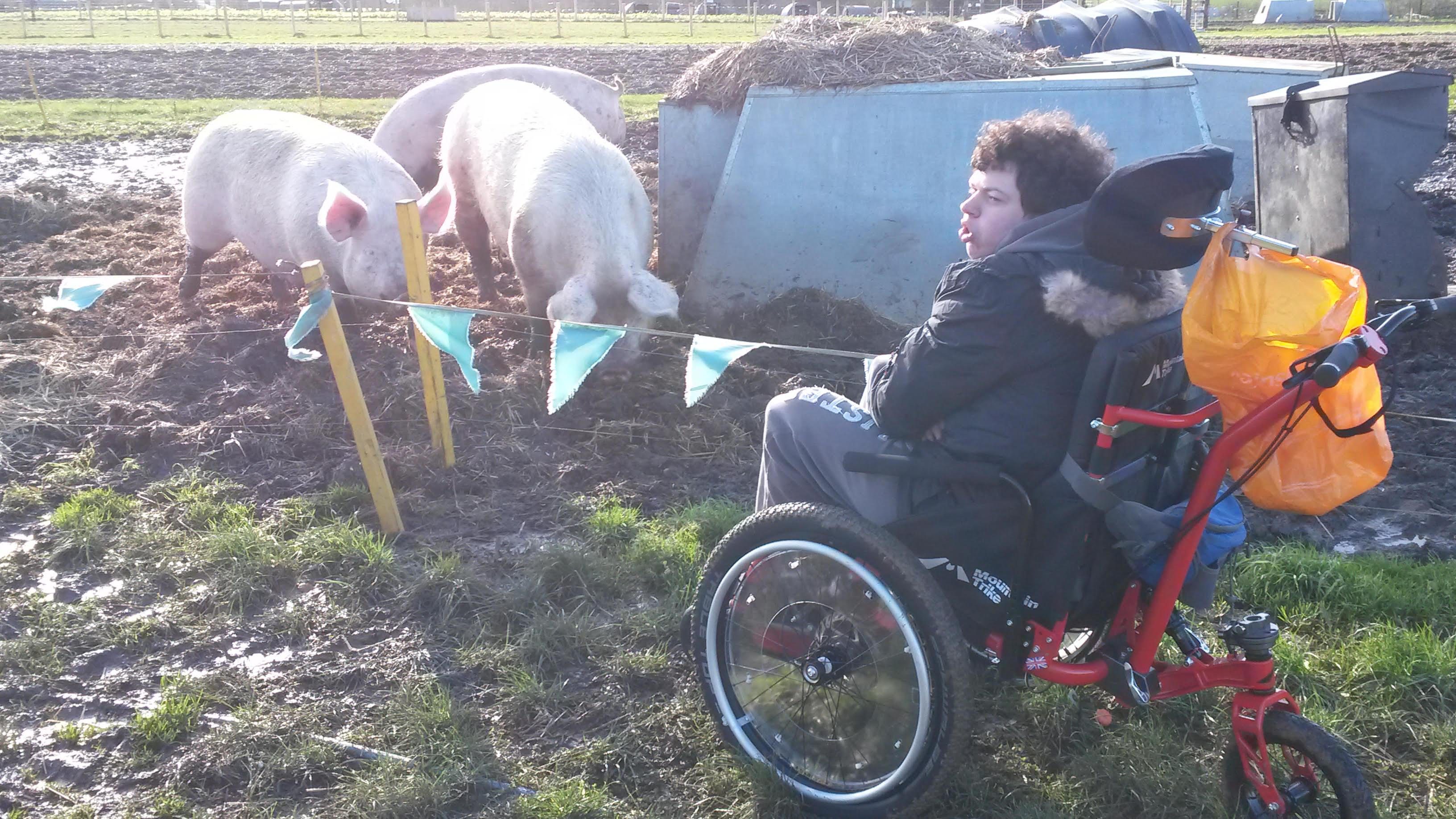 Not so sure about these smelly pigs! Not so sure about these smelly pigs!