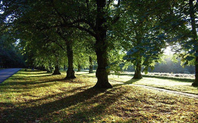Clumber Park Clumber Park