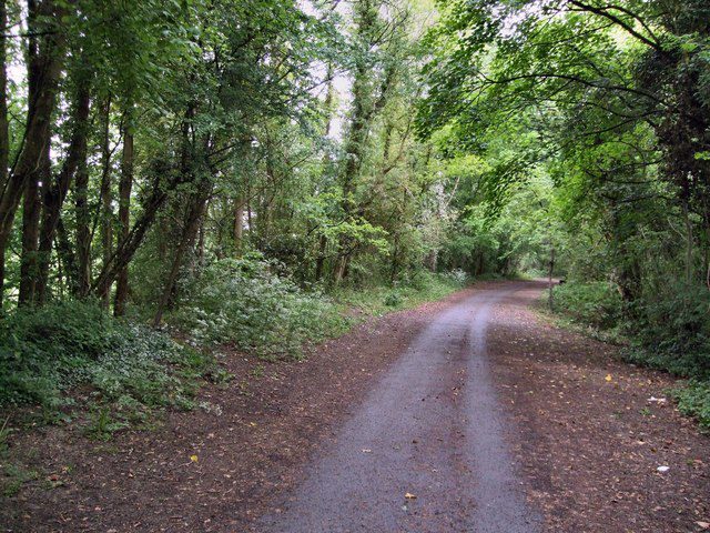 Cuckoo Trail Cuckoo Trail